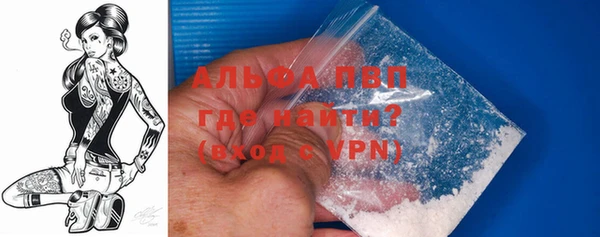 прущие грибы Покачи