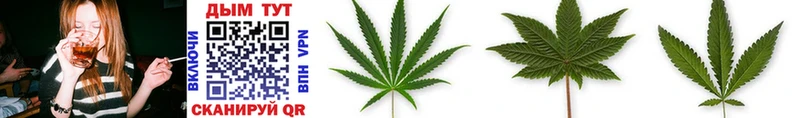 Марихуана SATIVA & INDICA  цена   Сретенск 
